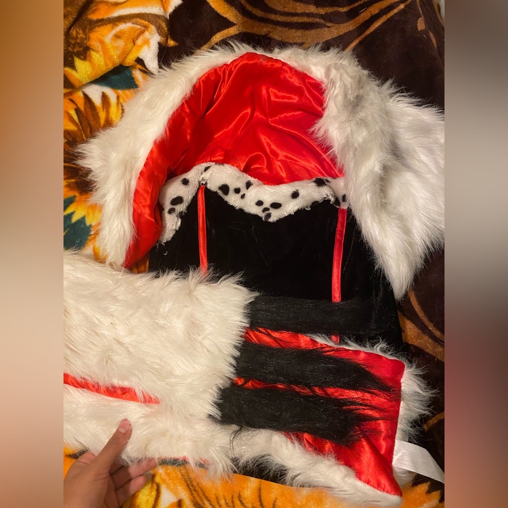 Cruela costume!